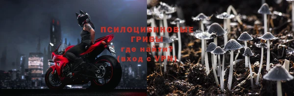 прущий лед Богородицк