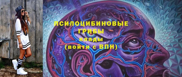 соль курить ск Богданович