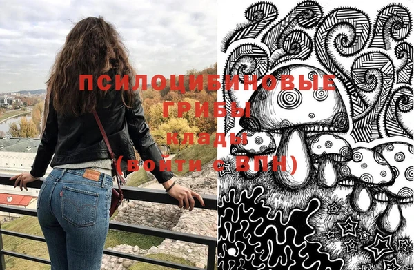 прущий лед Богородицк