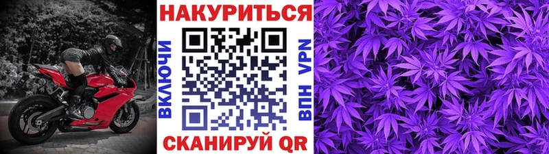 Бошки марихуана Ganja продажа наркотиков Великий Новгород